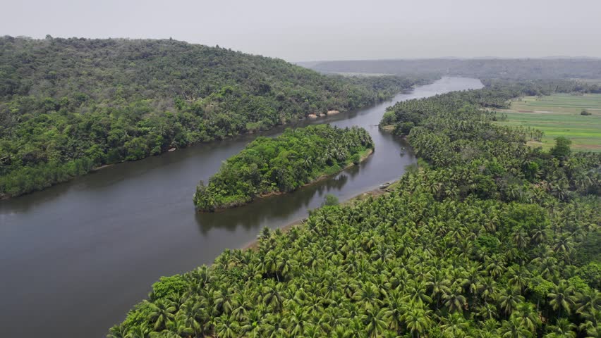 A scenic drone aerial view of a winding river flowing through a lush coconut plantation, paddy fields, and green hills. A small island sits in the middle of the water body, covered with lush forest in the Konkan region. 