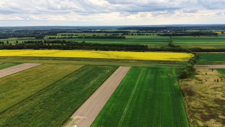 Springtime agricultural landscape with yellow blooming plants
