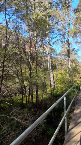 First-person perspective walking across a wooden bridge on a bushwalking trail in Wentworth Falls.