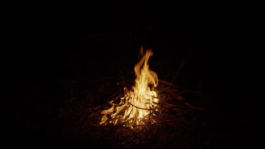 Bonfire with bright orange flames burning through stacked firewood and dry twigs at night, capturing outdoor camping, wilderness adventure, survival, and a warm campsite atmosphere.
