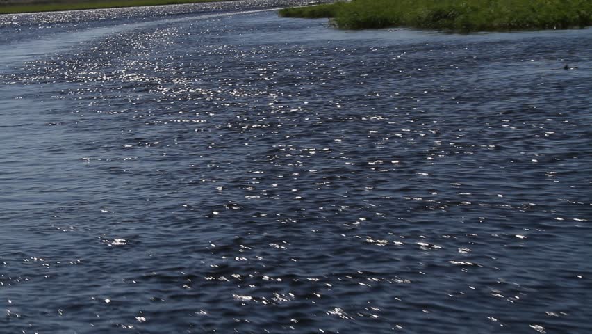 Sunlight glitters on the rippled surface of a river beside a patch of green grass growing in the shallows.