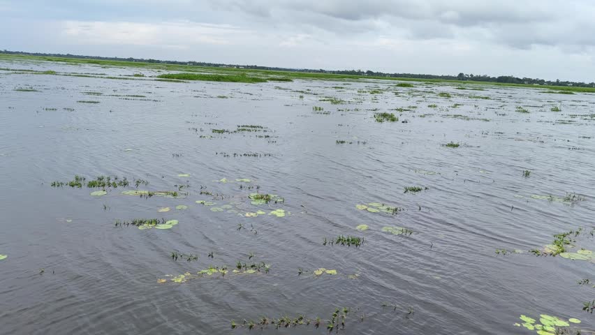 A scenic view of a vast flooded wetland landscape under a cloudy sky.
