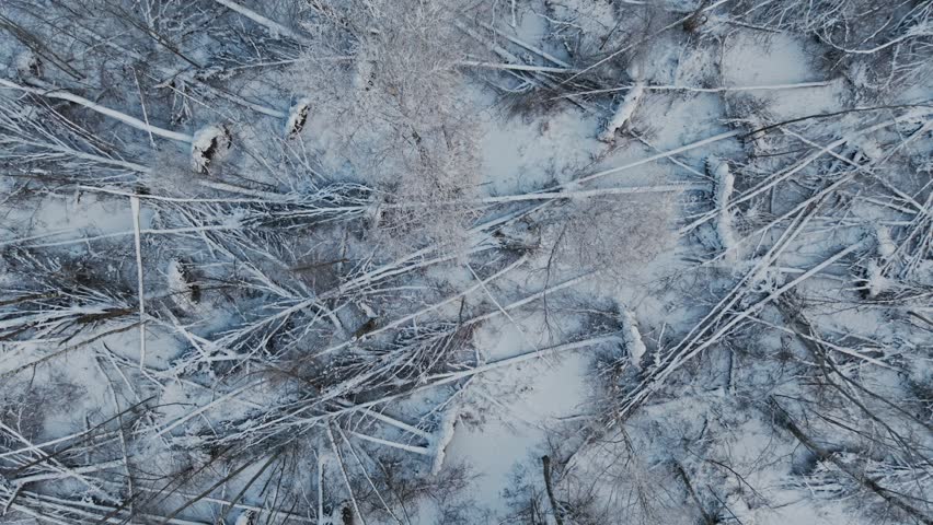 Slow sideways drone movement reveals fallen trees beneath fresh snow in winter