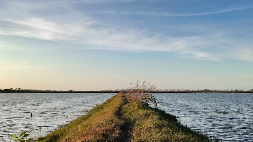 Aquaculture fishpond landscape with narrow grassy path under beautiful blue sunset sky in rural area