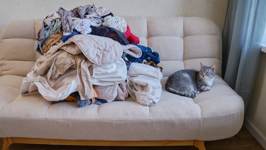 Sorting clothes after washing, time lapse. Pulling the home sofa clothing, stop motion. Pile of messy clothes on a beige couch with a cat resting nearby. Household laundry chore