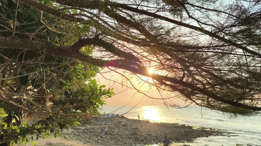 Golden hour sunset beach view through tropical tree branches over rocky coastline at dusk