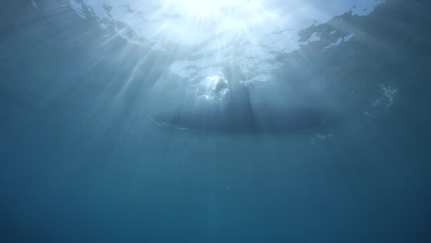 An underwater shot of a sea kayak paddling across the ocean surface cano