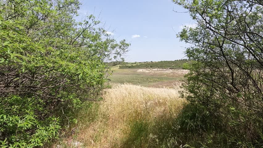 Stationary landscape footage of bushes, open countryside and distant rocky hills near Lake Yliki, with leaves and grass moving slightly in the wind.
