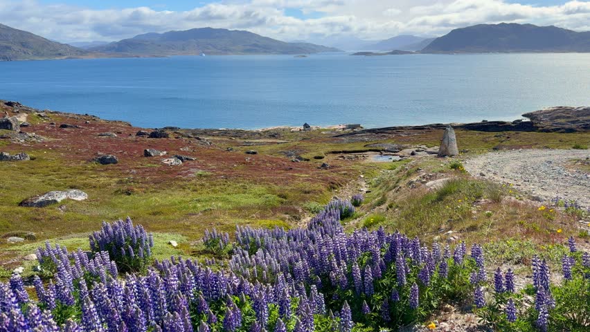 The fjords, mountains, and icebergs near the town of Qaqortoq, Greenland on a bright sunny day.