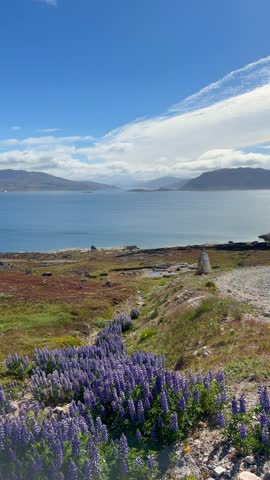 The fjords, mountains, and icebergs near the town of Qaqortoq, Greenland on a bright sunny day.