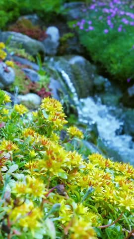 Bright yellow flowers grow at the edge of a rushing stream in a lush green environment. Water flows smoothly among the rocks, enhancing the vibrant scene.
