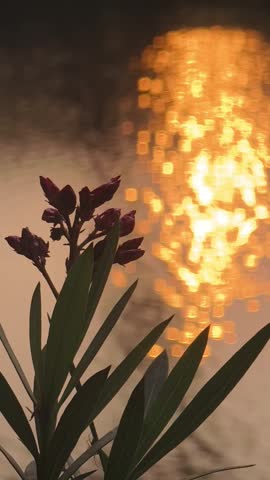 Close‑up of green plant with red buds in foreground, shimmering golden sunset reflection on water creating serene atmosphere.