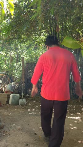 Young Man Shooing Away Chickens under Bamboo Shade