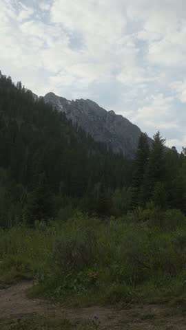 Vertical shot of the Grand Teton mountains surrounded by dense green foliage and pine forests, captured from Moose Pond in Grand Teton National Park during a peaceful overcast July day in Wyoming.