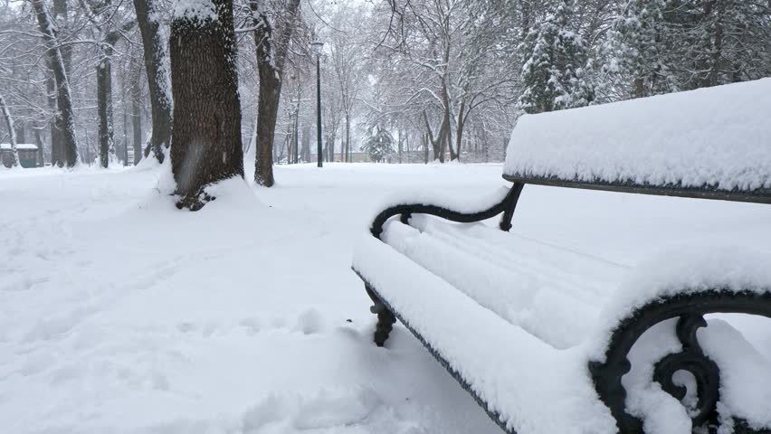 A snow-covered park bench surrounded by trees in a winter landscape. The ground is blanketed in fresh snow, creating a serene atmosphere.