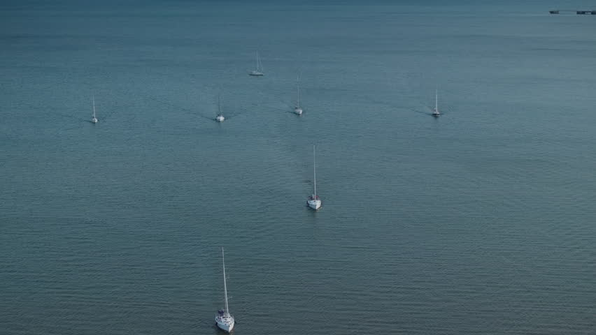 Several white sailboats travel together across the deep blue surface of Lake Ontario. Soft wakes trail behind each vessel under diffuse overcast lighting in Oakville.