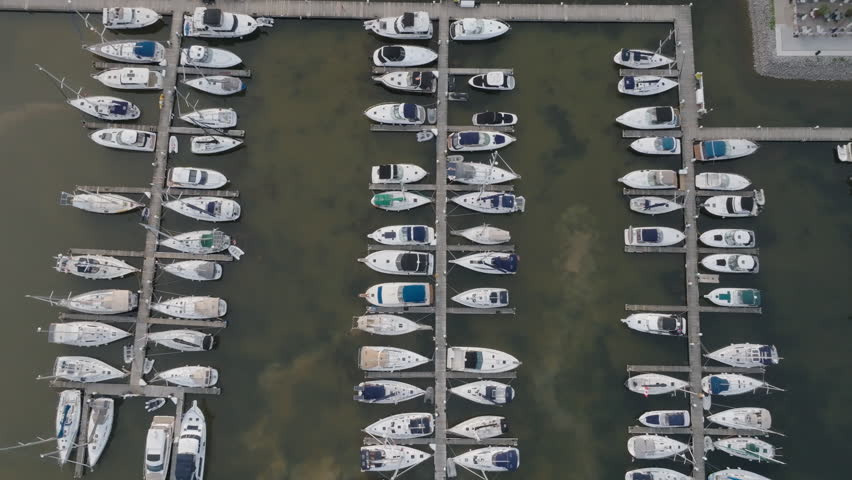 White sailboats and motorboats rest in floating wooden docks within a calm harbor in Oakville, Ontario. Shallow greenish water reveals underwater vegetation beneath the moored vessels.