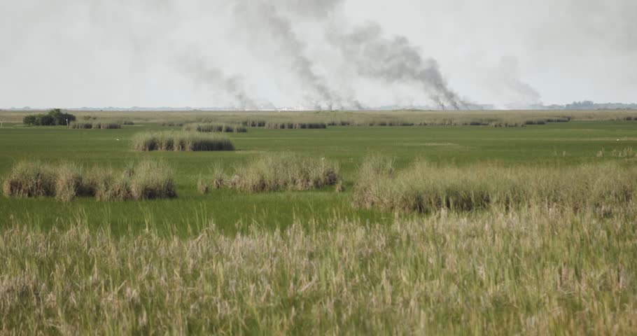 4K footage of multiple wildfire hotspots burning across the Florida Everglades in Broward County. Smoke rises beyond sawgrass marshes.