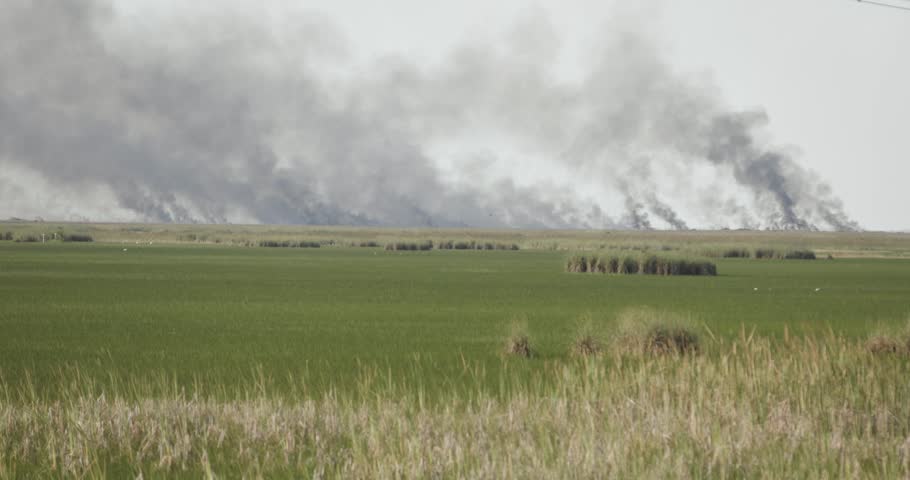 Handheld 4K footage of multiple wildfire hotspots burning across the Florida Everglades in Broward County. Smoke rises beyond sawgrass marshes.