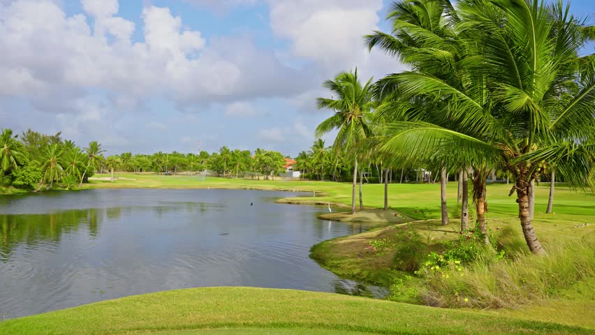 Pond in a golf park in Punta Cana, Dominican Republic. Beautiful landscape in a natural park with a lake. Relaxing view of palm trees in a tropical park.