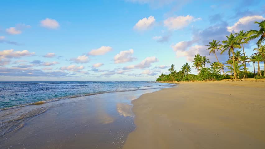 Beautiful bright sea waves lapping on the beach sand against a backdrop of palm trees. Summer seascape close-up. Idyllic evening seaside beach background.