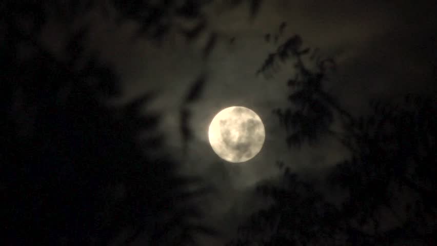 HD timelapse video of a bright full moon drifting behind moving clouds during the night sky in Gujarat, India. Atmospheric lunar footage with dramatic cloud movement, ideal for nature documentaries, astronomy, weather, cinematic backgrounds, and night-themed productions.