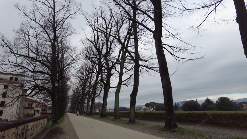 Tree-lined promenade atop the Renaissance Walls of Lucca, Lucca, Tuscany, Italy, bordered by mature plane trees, brick parapets and grassy earthworks forming the historic fortifications, pov shot.