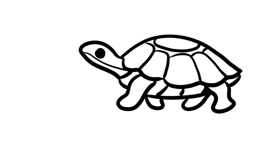 Cute cartoon turtle walking animation loop. Hand drawn black outline line art vector