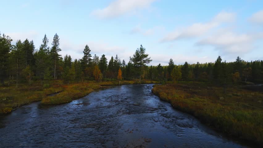 Aerial view of Urho Kekkonen National Park with a winding river flowing through the dense pine forest in Saariselka, Lappi, Finland.