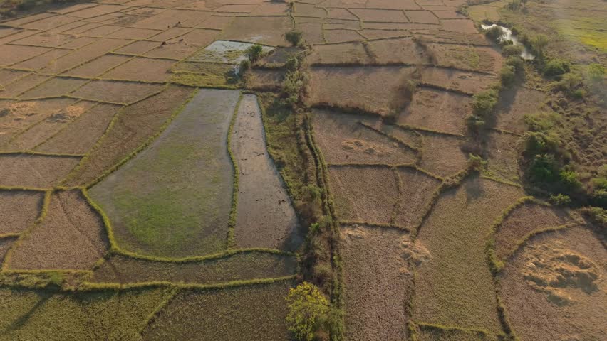 Aerial view of agricultural fields and irrigation channels in the rural landscape of Morondava, Menabe, Madagascar.