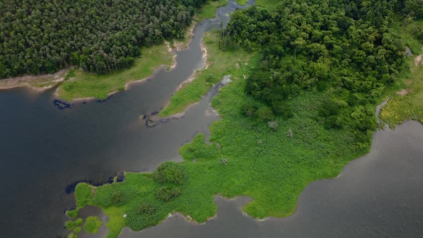 Forward overhead drone flight follows a winding lake inlet through dense forest.