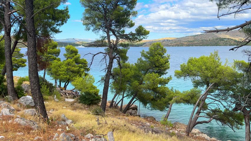 Scenic view of the Adriatic sea coast with pine trees and turquoise water in Croatia