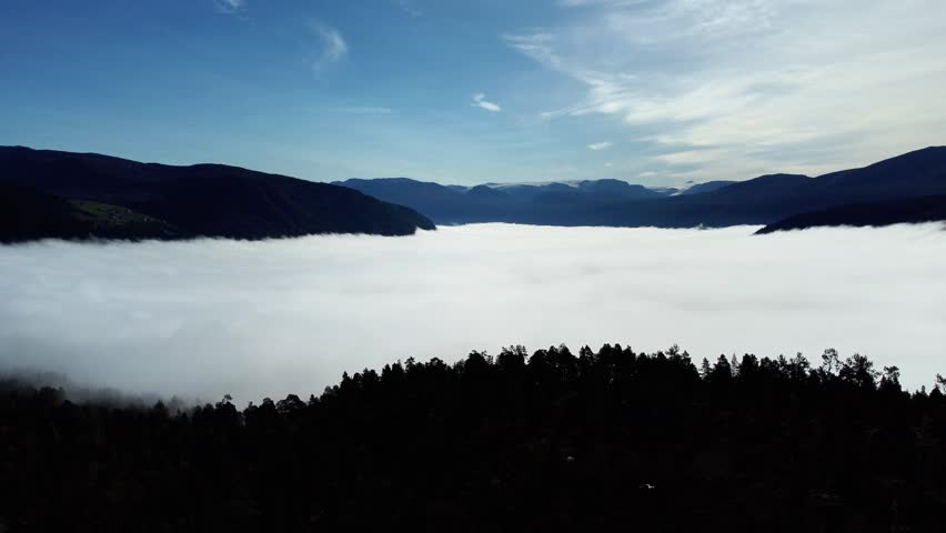 Stunning aerial drone footage captures a majestic flight over a dense pine forest on a mountainside in Olden, Norway. The camera glides forward, revealing a breathtaking sea of thick, white clouds and fog that completely blankets the valley floor below. In the distance, the rugged peaks of the surrounding mountains emerge from the clouds. This cinematic shot, filmed in early autumn, evokes a sense of peace, wonder, and the raw beauty of the Norwegian fjord landscape.