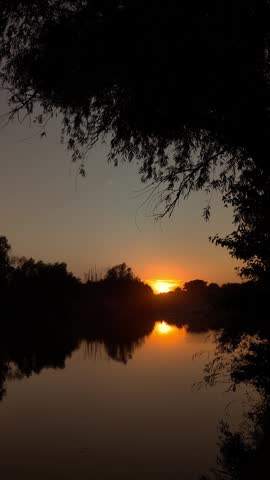 Sunset view through tree branches over a river