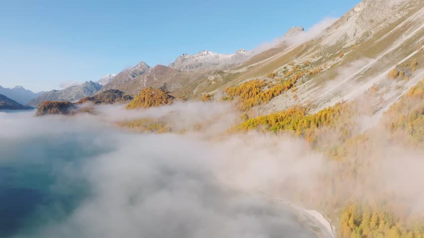 Aerial drone view of a foggy mountain valley with autumn forest at sunrise. Low mist over trees under a clear blue sky.