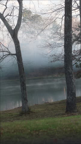 CLEVELAND, TN, US - 08-06-2026 - Beautiful RAW COLOR morning fog covered forest and pond, lake, water, mist, foggy nature, tree branches, lake shore. cold cool morning, pride and prejudice fog vibes, Mr Darcy scene. 