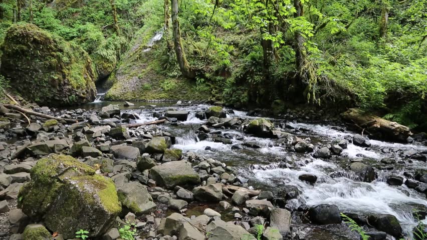 Bridal Veil Creek - Columbia River Gorge, Oregon