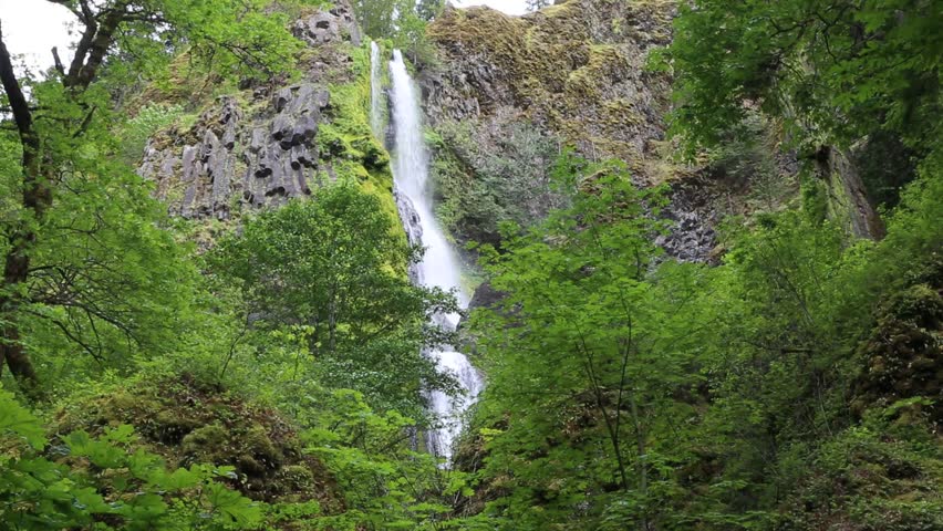 Starvation Creek Falls - Columbia River Gorge, Oregon