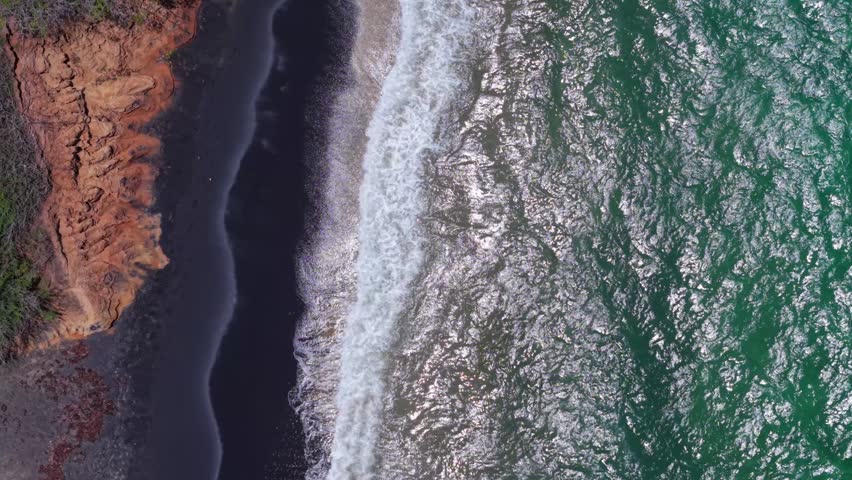 Aerial drone footage looking straight down at Playa Negra, a black sand beach in Vieques, Puerto Rico, with turquoise waves breaking against the volcanic shoreline