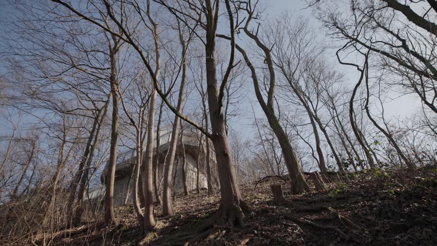 A low-angle upward shot looks through a dense grove of bare winter trees on a steep hill, exposing the massive, historic concrete structure of the Flakturm bunker at Humboldthain Park in Berlin.