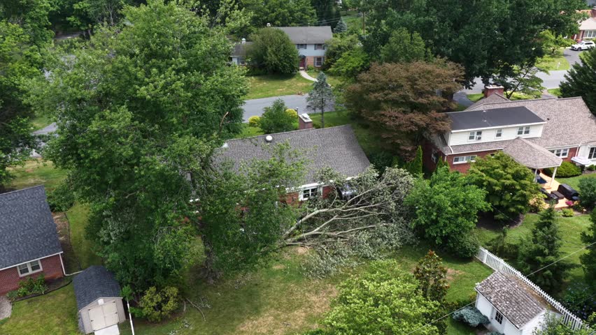 Large fallen tree crushes brick ranch house roof in Manheim Township, Pennsylvania, storm-damaged branches sprawling across lawn amid dense suburban tree canopy cover. Aerial drone approaching shot