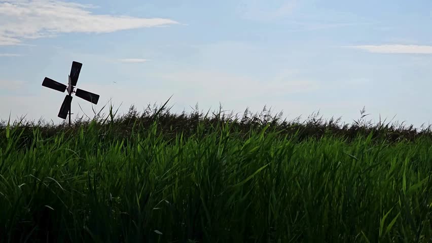 Small vintage windmill turning within lush grassy landscape captured on breezy sunny summer afternoon.