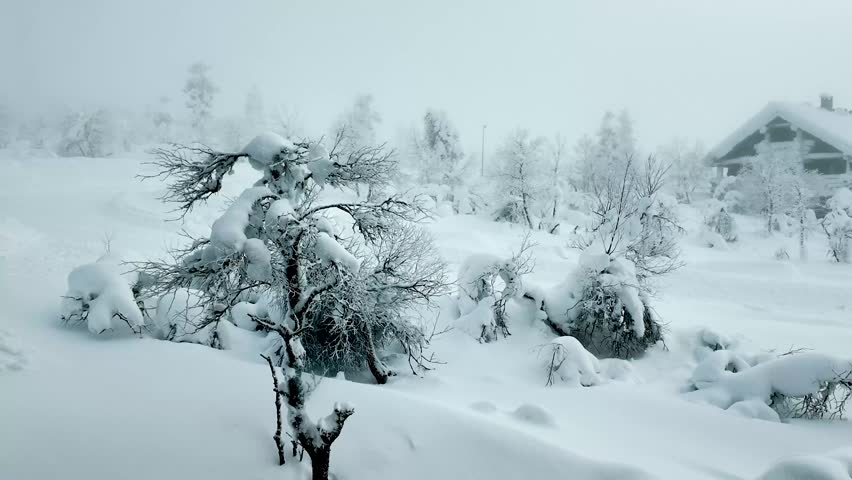 Traditional wooden cabins surrounded by snow and pine trees in a peaceful winter landscape. Cozy holiday accommodation in Lapland.