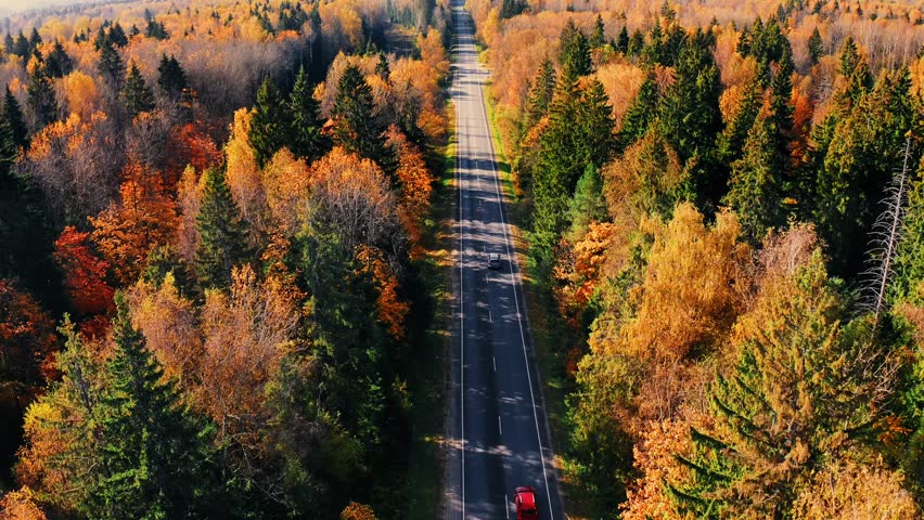 Autumn-themed aerial view over winding road surrounded by vibrant orange foliage and dense trees