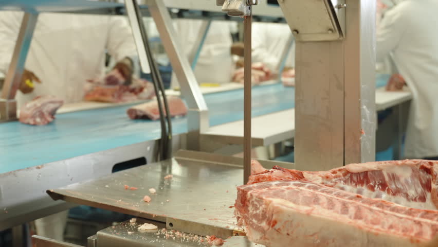 Worker in protective gear guides a large pork rib section through a bandsaw on a busy cutting line in a modern meat facility.