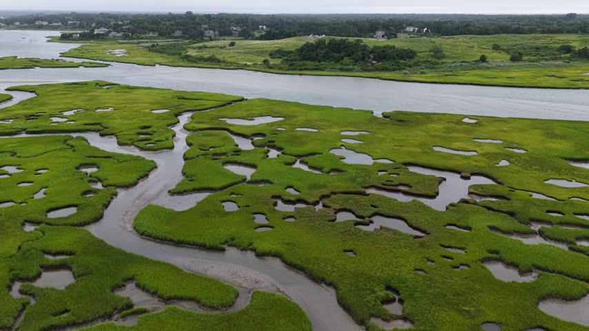 A maze of channels meander through an extensive salt marsh in Pleasant Bay, Cape Cod. Marshes provide critical habitat for many birds, fish, and marine invertebrates to feed, mate, and nest.
