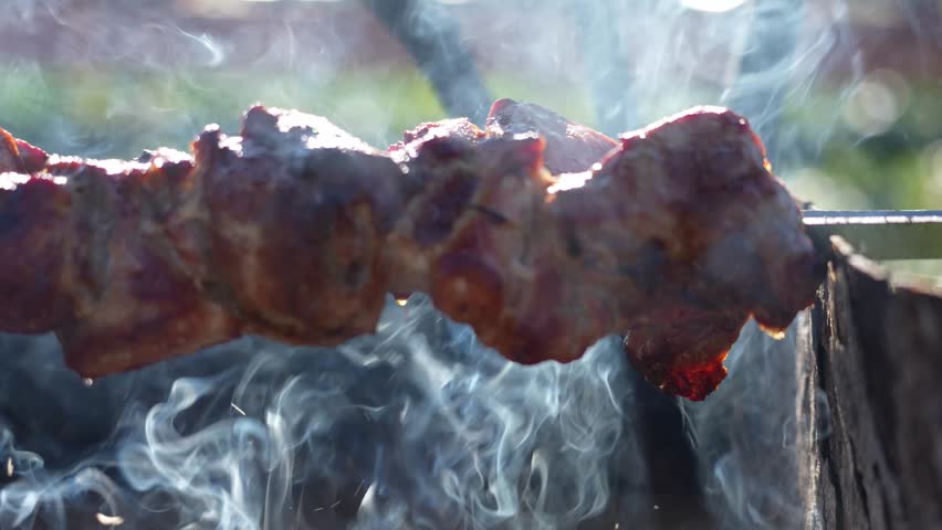 Juicy meat cooks on a metal skewer. Smoke curls around the sizzling meat. Charcoal glows beneath the skewer. Background shows blurred greenery. Use for food promotions or cooking tutorials