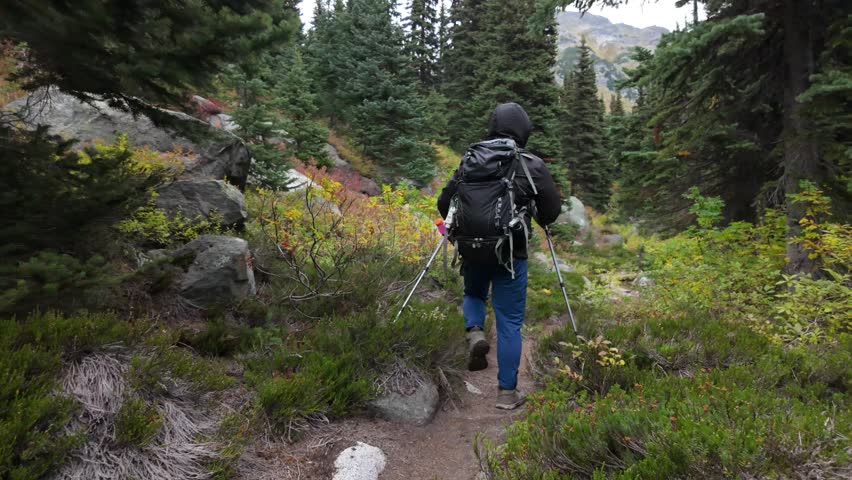 Adventurous Hiker Explores a Scenic Mountain Trail Through a Vibrant Forest in British Columbia, Canada