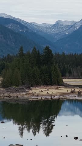 Reflective Stave Lake Landscape with Forest and Snow-Capped Mountains in British Columbia, Canada
