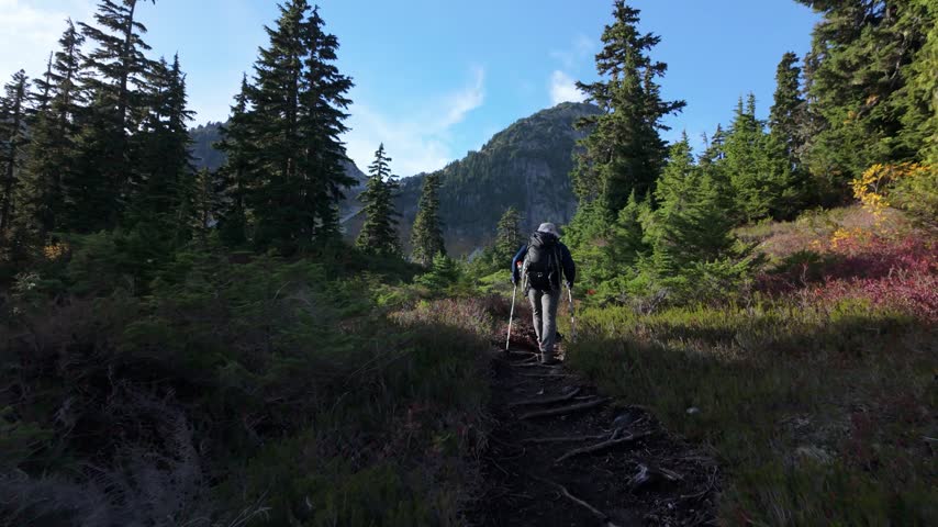 Adventurous Hiker Explores Scenic Mountain Trail in Whistler, British Columbia, Canada
